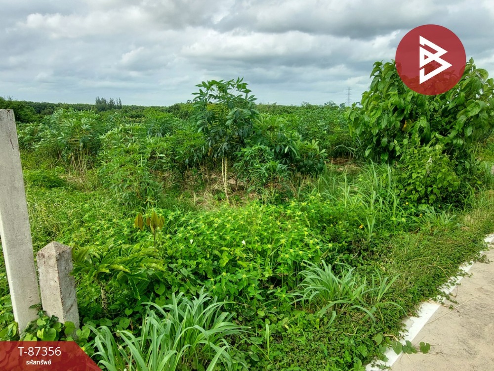 For SaleLandPattaya, Bangsaen, Chonburi : Land for sale on a hill, area 4 rai 2 ngan 85.6 square wah, Nong Yai, Chonburi.