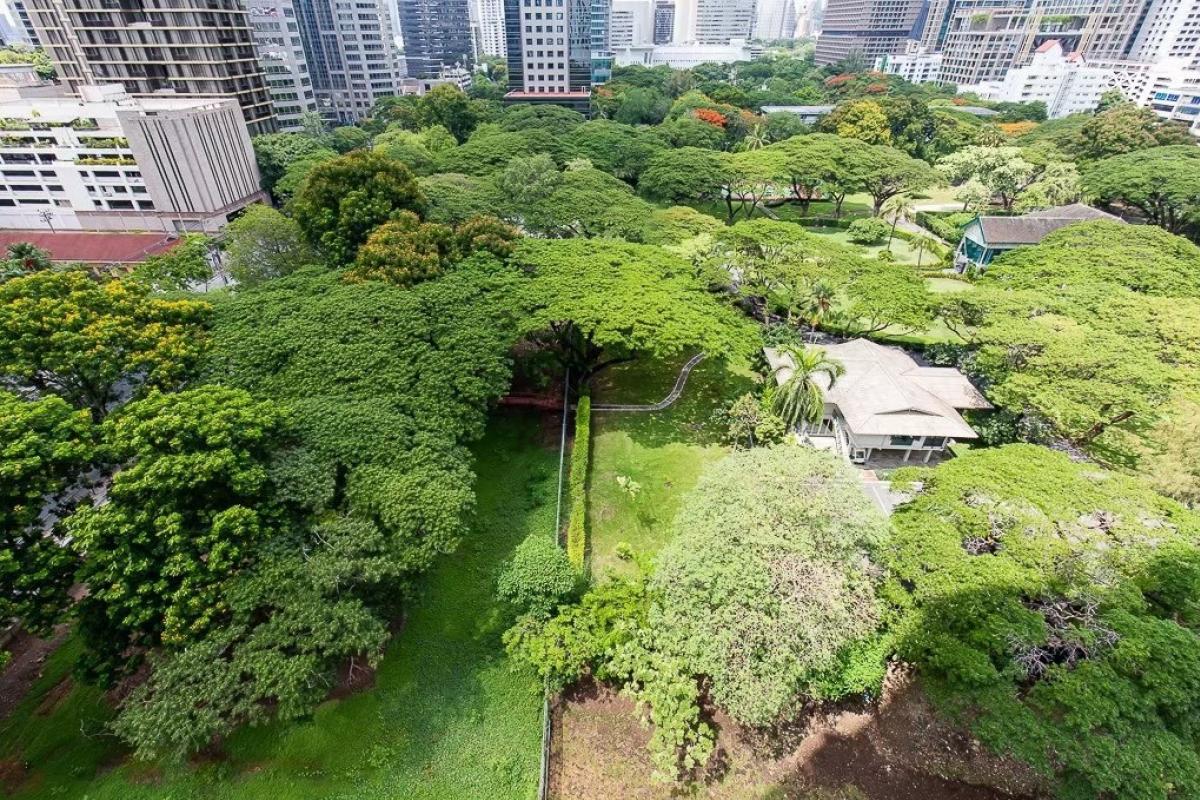 ขายคอนโดวิทยุ ชิดลม หลังสวน : For Sale 98 Wireless Condo