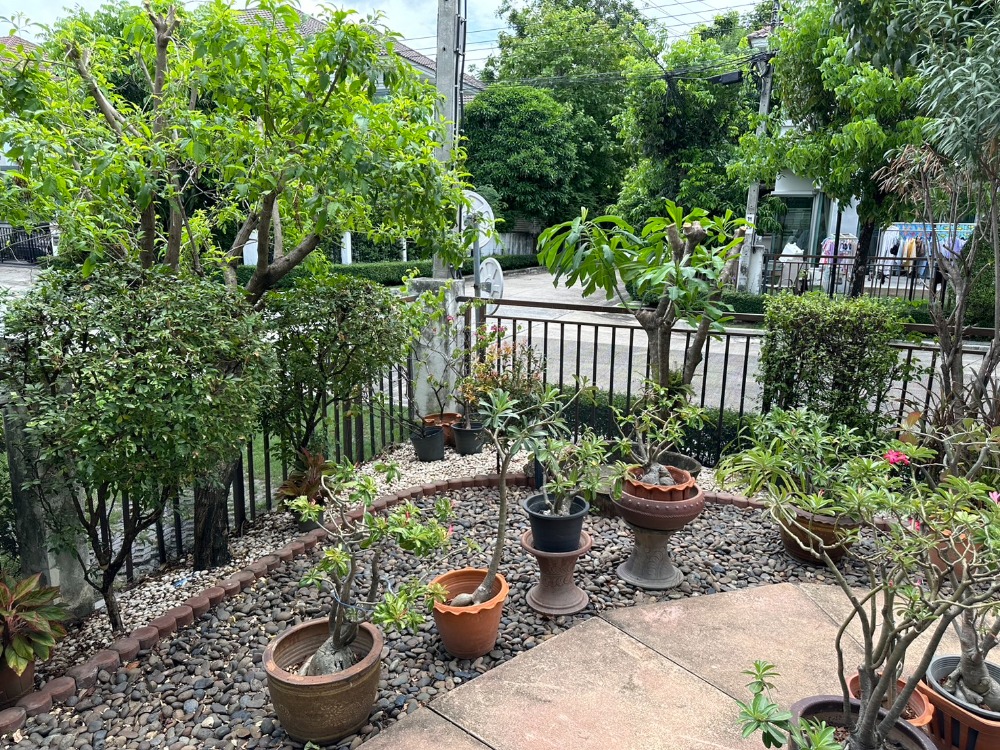 ขายบ้านลาดกระบัง สุวรรณภูมิ : ปรับราคา!! Life bangkok boulevard wongwaen-onnut บ้านเดี่ยวสุดยอดทำเลย่านบางนา วงแหวนอ่อนนุช