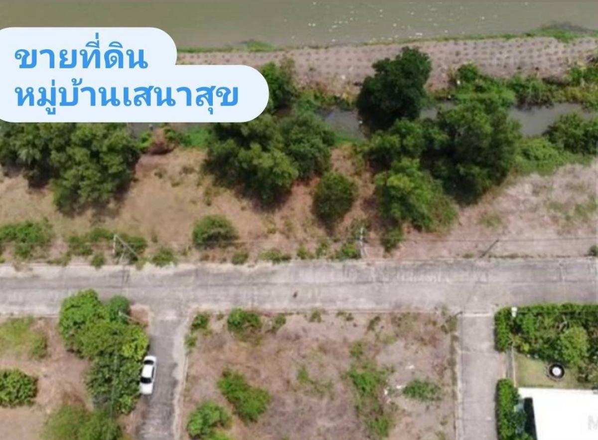 For SaleLandPathum Thani,Rangsit, Thammasat : Urgent sale✅Owner selling, land plot, Sena Suk Village, area 150 square wah, Rangsit-Nakhon Nayok Road, Khlong 13, Nong Suea District, Pathum Thani