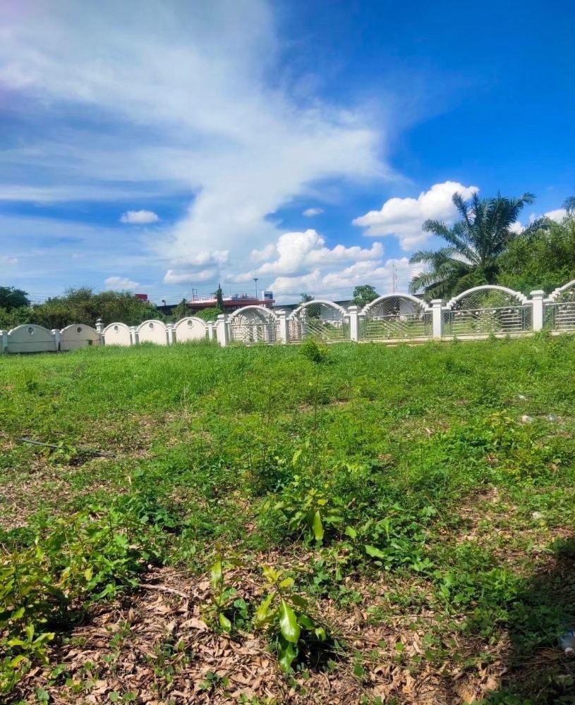 For SaleLandPhutthamonthon, Salaya : Urgent sale, land 300 square meters, Kanchanaphisek Road, near The Paseo Park, suitable for building a residence.