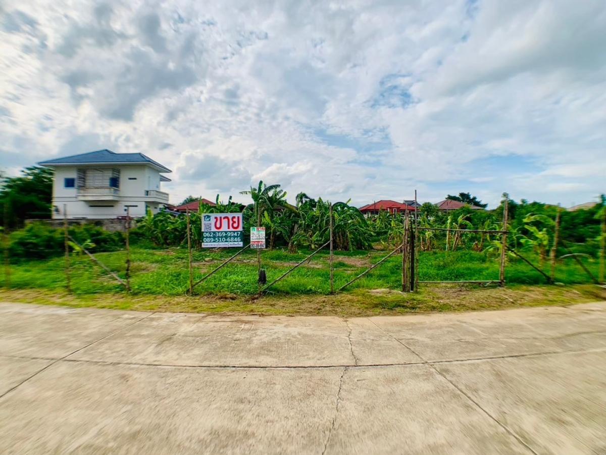 For SaleLandPathum Thani,Rangsit, Thammasat : Land for sale, cheaper than appraised price, in Muang Ek 1 project, north side, 32 meters wide on the road, size 200 sq m, 8 meters wide on the road, near the Red Line BTS, only 7 minutes away.