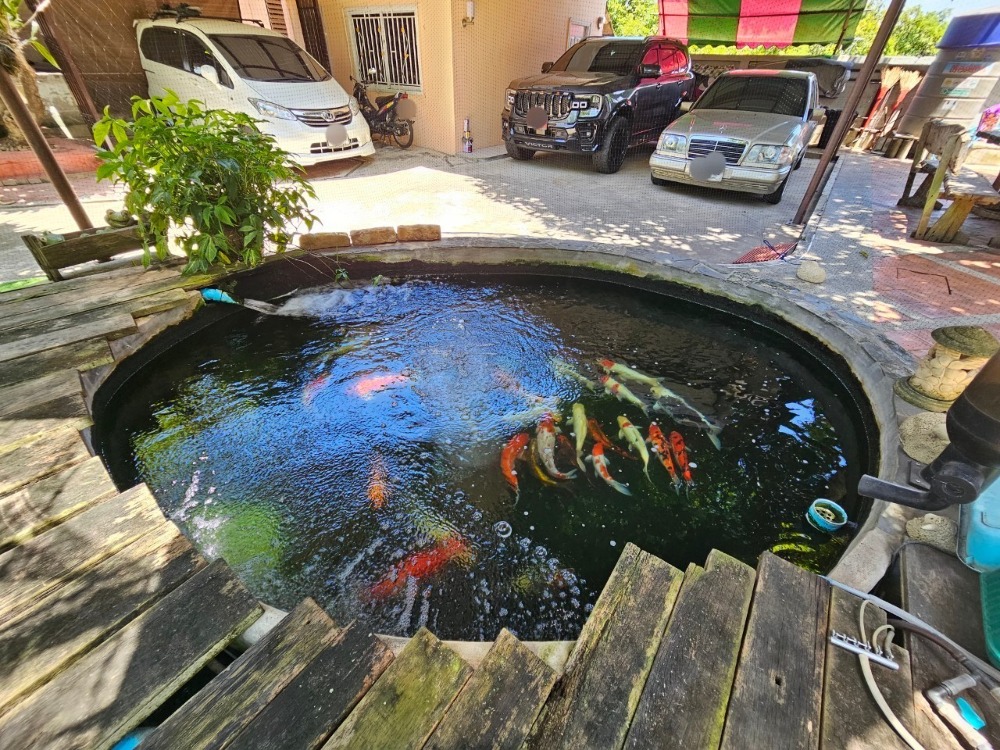 ขายบ้านเอกชัย บางบอน : ขาย บ้านเดี่ยว 2 หลัง 108.7 ตารางวา 5 ห้องนอน 3 ห้องน้ำ 5 ที่จอดรถ ถนนบางบอน 5 ซอย 7 ในหมู่บ้านภราดร แขวงบางบอนเหนือ เขตบางบอน กรุงเทพมหานคร