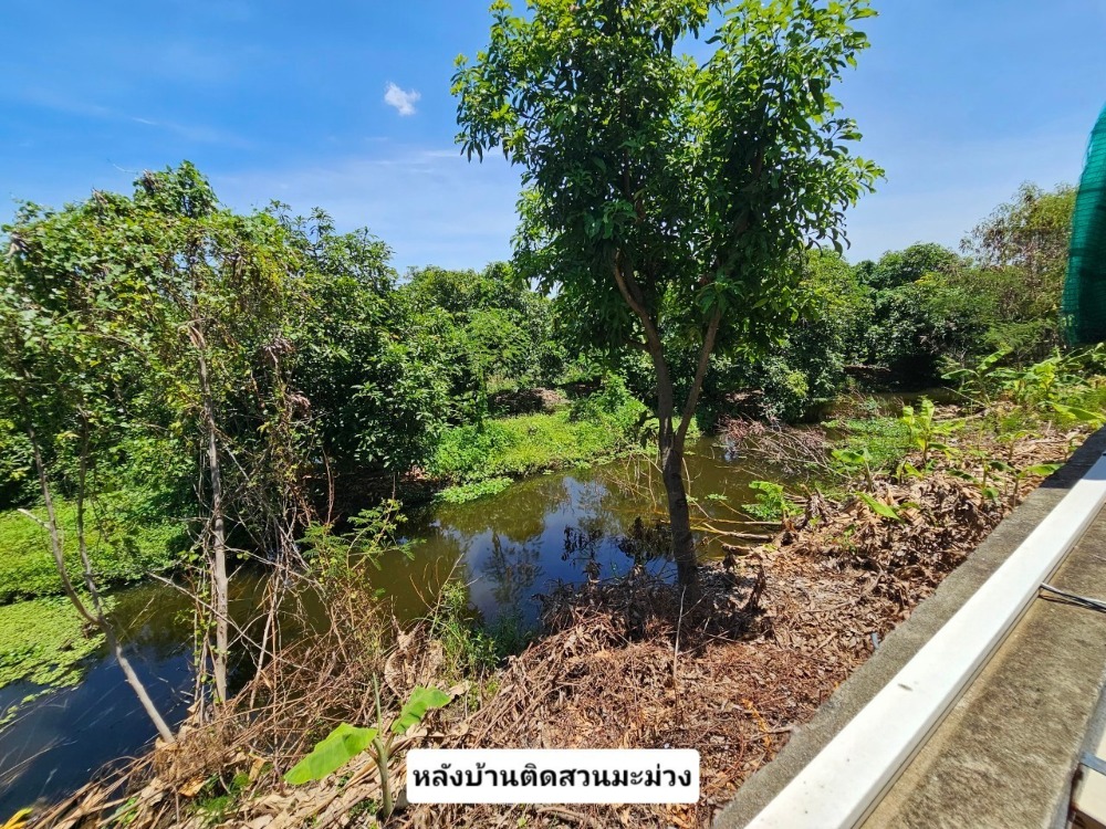 ขายบ้านเอกชัย บางบอน : ขาย บ้านเดี่ยว 2 หลัง 108.7 ตารางวา 5 ห้องนอน 3 ห้องน้ำ 5 ที่จอดรถ ถนนบางบอน 5 ซอย 7 ในหมู่บ้านภราดร แขวงบางบอนเหนือ เขตบางบอน กรุงเทพมหานคร