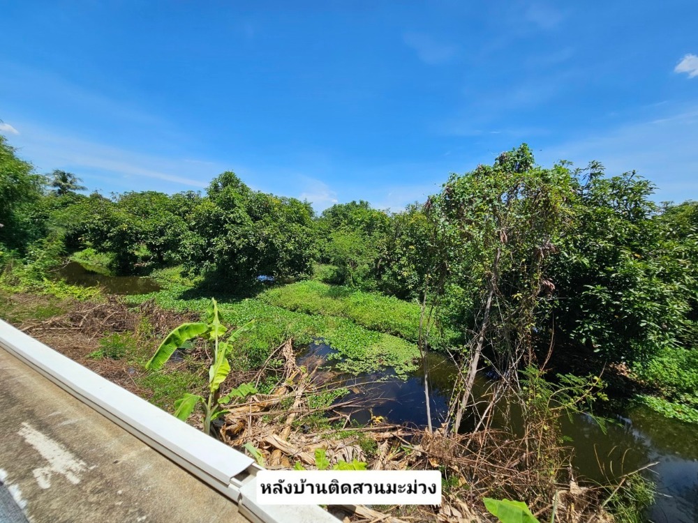 ขายบ้านเอกชัย บางบอน : ขาย บ้านเดี่ยว 2 หลัง 108.7 ตารางวา 5 ห้องนอน 3 ห้องน้ำ 5 ที่จอดรถ ถนนบางบอน 5 ซอย 7 ในหมู่บ้านภราดร แขวงบางบอนเหนือ เขตบางบอน กรุงเทพมหานคร