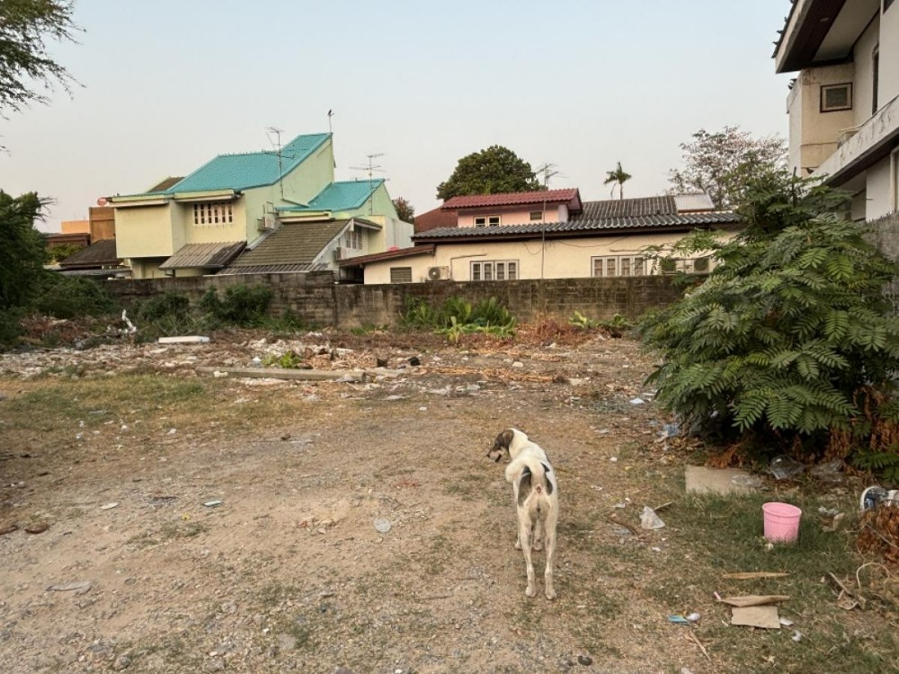 ขายที่ดินรัชดา ห้วยขวาง : ขายที่ดินเปล่าซอยรัชดา32 100ตารางวา (N.1028)