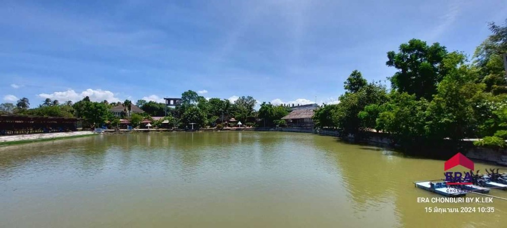 For SaleLandPattaya, Bangsaen, Chonburi : Land for sale 6 rai with fishing pond business, Fishing Park. and 5 houses for rent