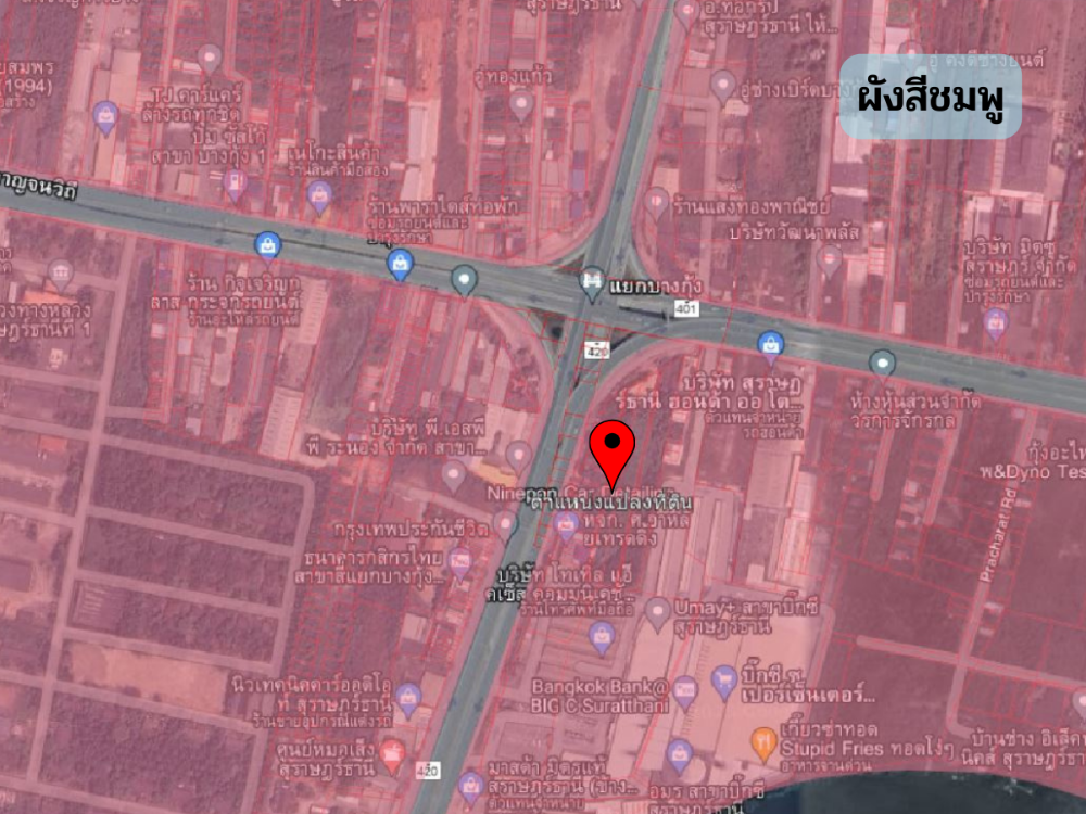 ขายที่ดินราษฎร์บูรณะ สุขสวัสดิ์ : ขายที่ดินสุราษฎร์ธานี อ.เมือง ติดถนนใหญ่ ติดบิ๊กซี 5 ไร่เศษ