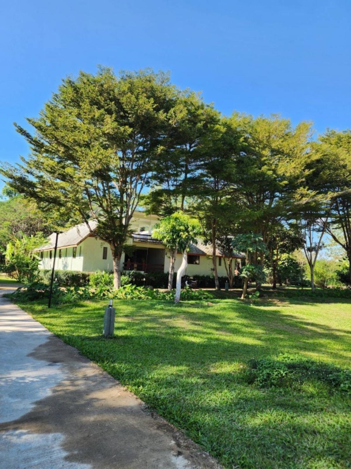 ขายกิจการโรงแรม & กิจการอพาร์ตเมนต์แม่ฮ่องสอน : 📢👇 ประกาศขายรีสอร์ต อำเภอปาย จังหวัดแม่ฮ่องสอน ยังดำเนินกิจการอยู่ อยู่ห่างจากเมือง 1.5 กม บ้านพักห้องแฝด24 ห้อง 11 หลัง บ้านพักธารา 8 ห้อง ห้องประชุม ห้องอาหาร