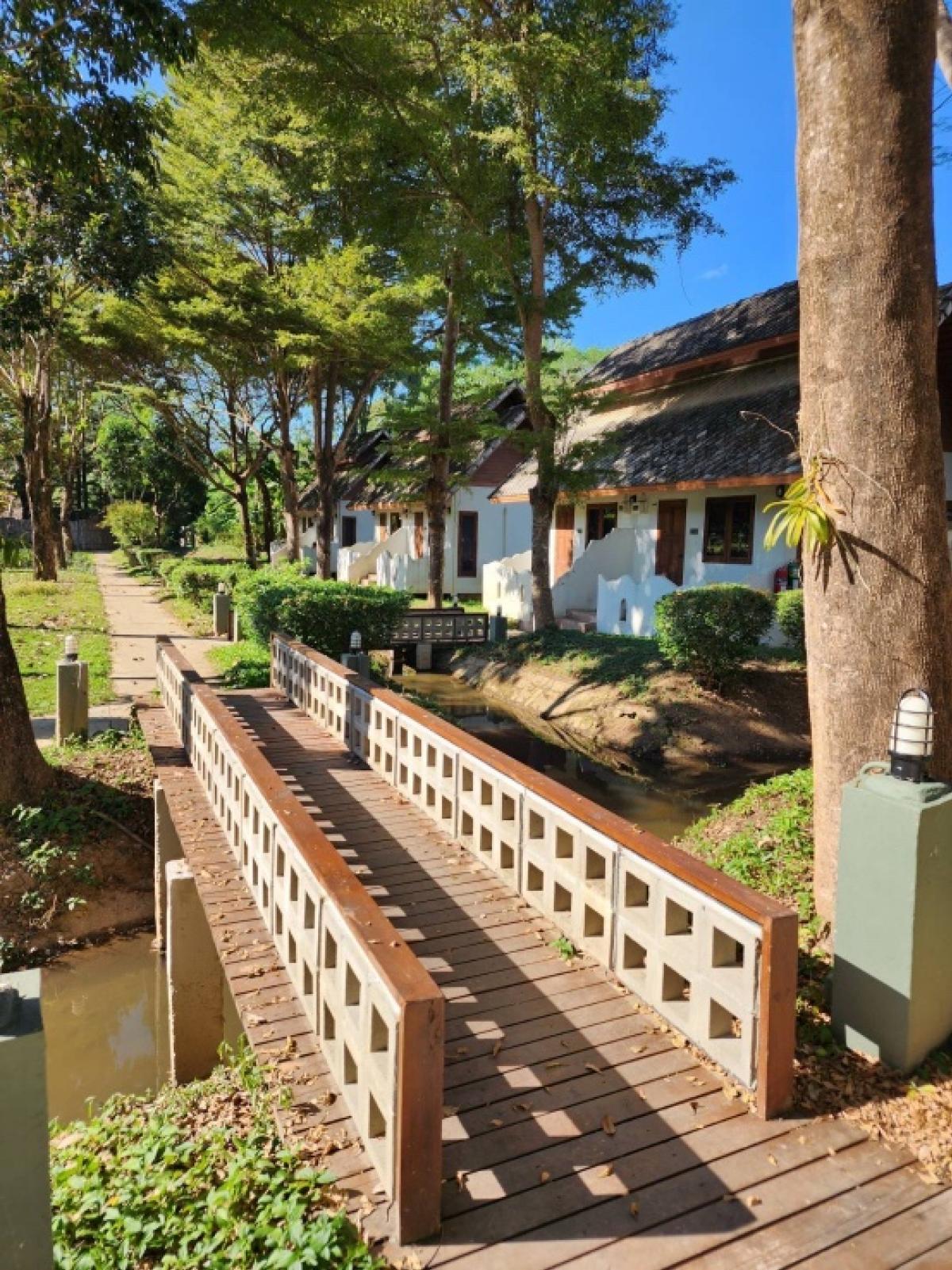 ขายกิจการโรงแรม & กิจการอพาร์ตเมนต์แม่ฮ่องสอน : 📢👇 ประกาศขายรีสอร์ต อำเภอปาย จังหวัดแม่ฮ่องสอน ยังดำเนินกิจการอยู่ อยู่ห่างจากเมือง 1.5 กม บ้านพักห้องแฝด24 ห้อง 11 หลัง บ้านพักธารา 8 ห้อง ห้องประชุม ห้องอาหาร