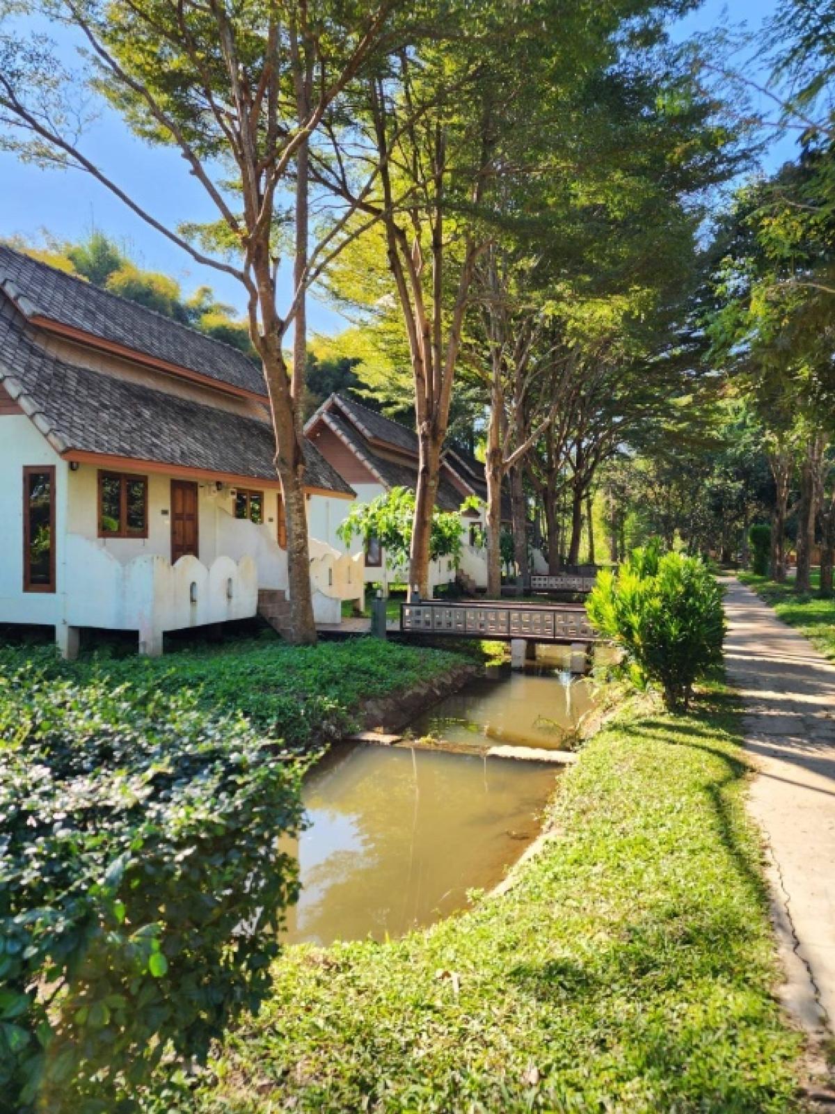 ขายกิจการโรงแรม & กิจการอพาร์ตเมนต์แม่ฮ่องสอน : 📢👇 ประกาศขายรีสอร์ต อำเภอปาย จังหวัดแม่ฮ่องสอน ยังดำเนินกิจการอยู่ อยู่ห่างจากเมือง 1.5 กม บ้านพักห้องแฝด24 ห้อง 11 หลัง บ้านพักธารา 8 ห้อง ห้องประชุม ห้องอาหาร