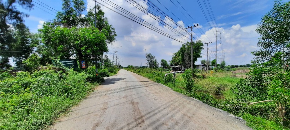 ขายที่ดินอยุธยา : ขายที่ดิน 5 ไร่ ห่างจากถนนใหญ่ สายเอเซีย เพียง 50 เมตร ฝั่งขาเข้ากรุงเทพ