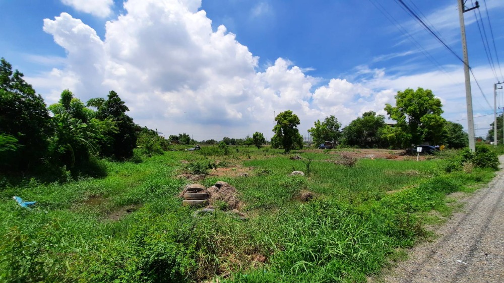 ขายที่ดินอยุธยา : ขายที่ดิน 5 ไร่ ห่างจากถนนใหญ่ สายเอเซีย เพียง 50 เมตร ฝั่งขาเข้ากรุงเทพ