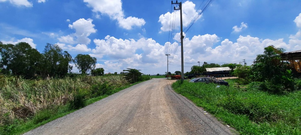 ขายที่ดินอยุธยา : ขายที่ดิน 5 ไร่ ห่างจากถนนใหญ่ สายเอเซีย เพียง 50 เมตร ฝั่งขาเข้ากรุงเทพ