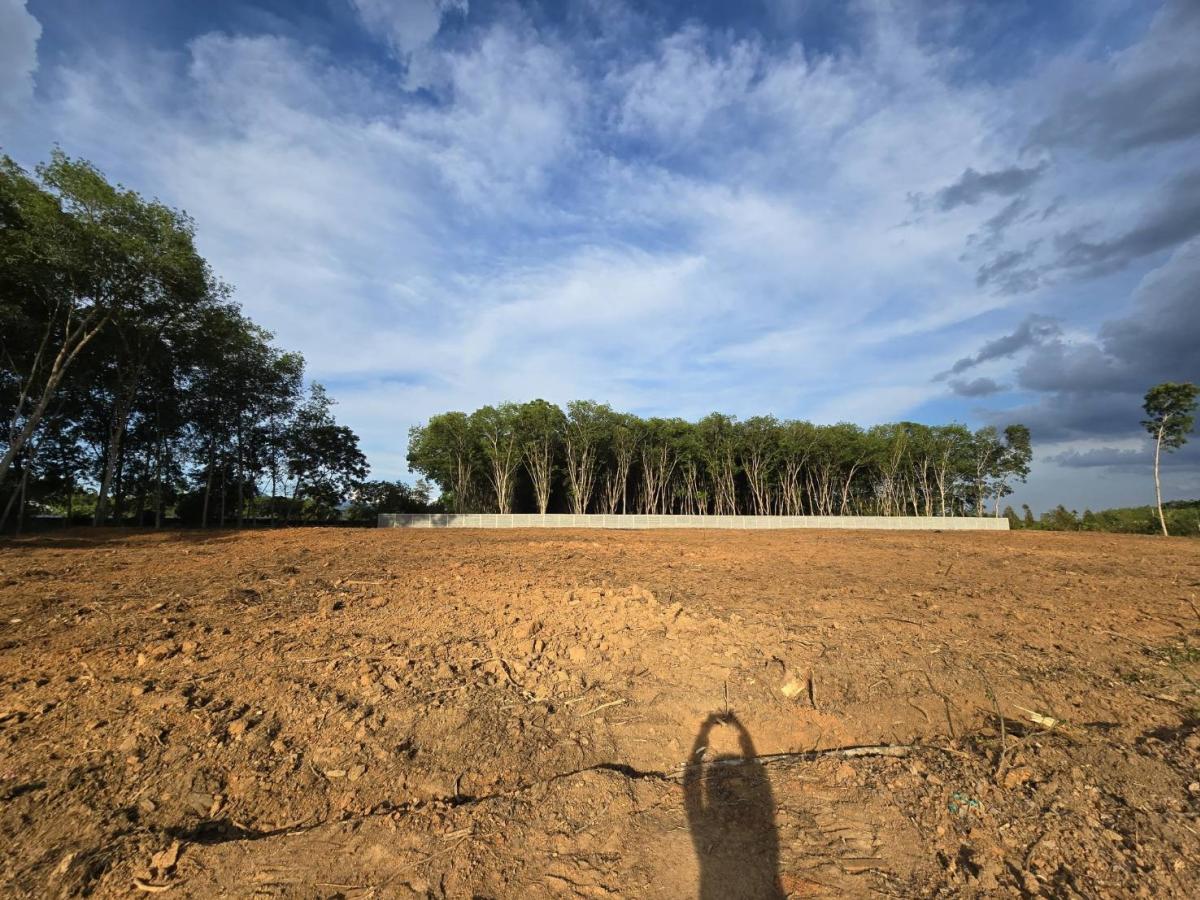 ขายที่ดินนครศรีธรรมราช : ขาย ที่ดิน ติดถนนใหญ่ ถนน ทุ่งสง สุราษฏร์ ขนาดที่ดิน ราวๆ เเกือบ 9 ไร่ หน้ากว้าง ประมาณ 85 ตรม. อยู่ กม. 14  มาจาก ห้างโลตัส ทุ่งสง อยู่ฝังตรงข้าม  (อยู่ เยื้องๆ ตรงข้าม วัดควนสุทธาราม   เยื้อง โรงแรม นุชนารถ. ที่ดิน ทรงเหลียม สวย เพื่งโค่นต้นไม้ไป