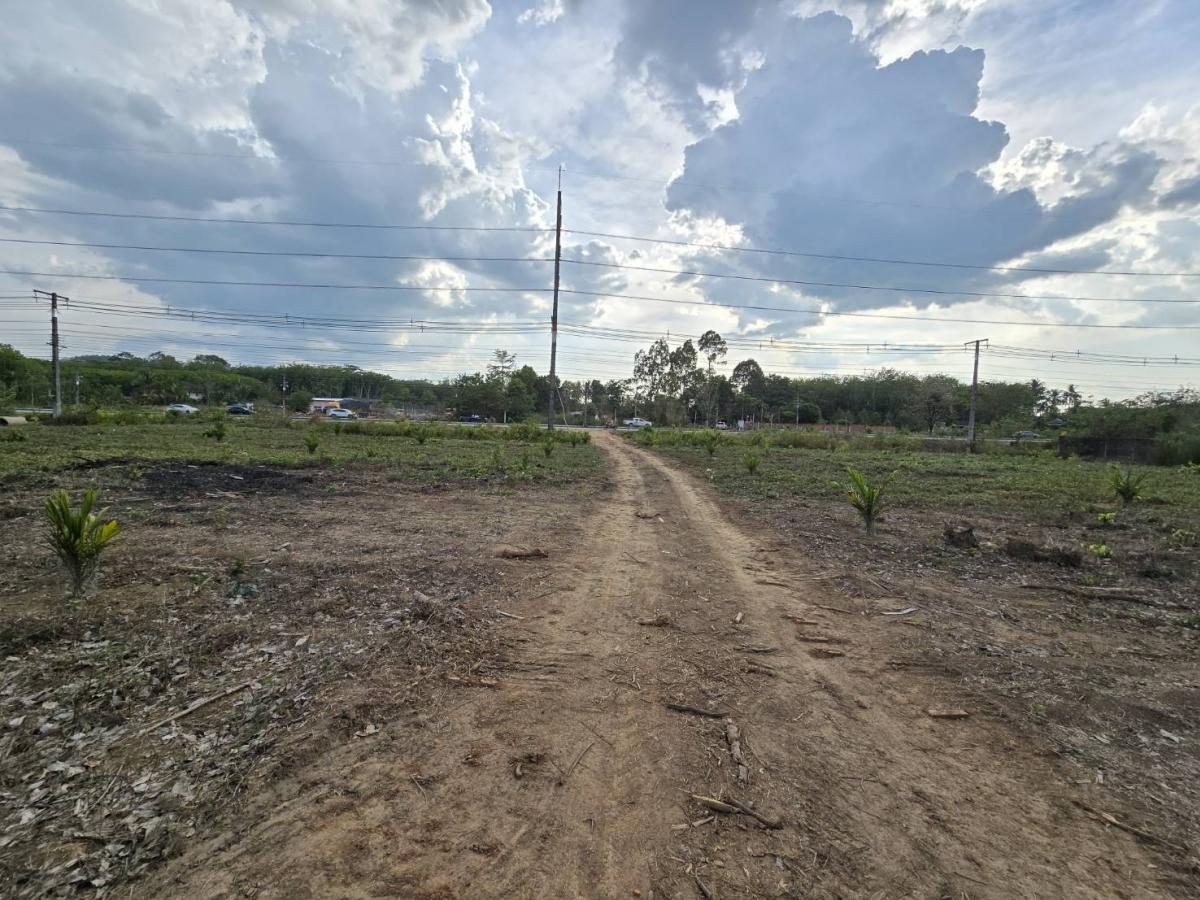 ขายที่ดินนครศรีธรรมราช : ขาย ที่ดิน ติดถนนใหญ่ ถนน ทุ่งสง สุราษฏร์ ขนาดที่ดิน ราวๆ เเกือบ 9 ไร่ หน้ากว้าง ประมาณ 85 ตรม. อยู่ กม. 14  มาจาก ห้างโลตัส ทุ่งสง อยู่ฝังตรงข้าม  (อยู่ เยื้องๆ ตรงข้าม วัดควนสุทธาราม   เยื้อง โรงแรม นุชนารถ. ที่ดิน ทรงเหลียม สวย เพื่งโค่นต้นไม้ไป