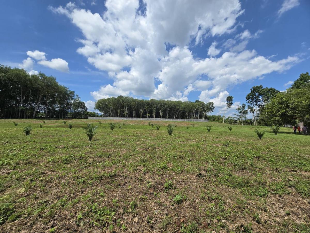 ขายที่ดินนครศรีธรรมราช : ขาย ที่ดิน ติดถนนใหญ่ ถนน ทุ่งสง สุราษฏร์ ขนาดที่ดิน ราวๆ เเกือบ 9 ไร่ หน้ากว้าง ประมาณ 85 ตรม. อยู่ กม. 14  มาจาก ห้างโลตัส ทุ่งสง อยู่ฝังตรงข้าม  (อยู่ เยื้องๆ ตรงข้าม วัดควนสุทธาราม   เยื้อง โรงแรม นุชนารถ. ที่ดิน ทรงเหลียม สวย เพื่งโค่นต้นไม้ไป