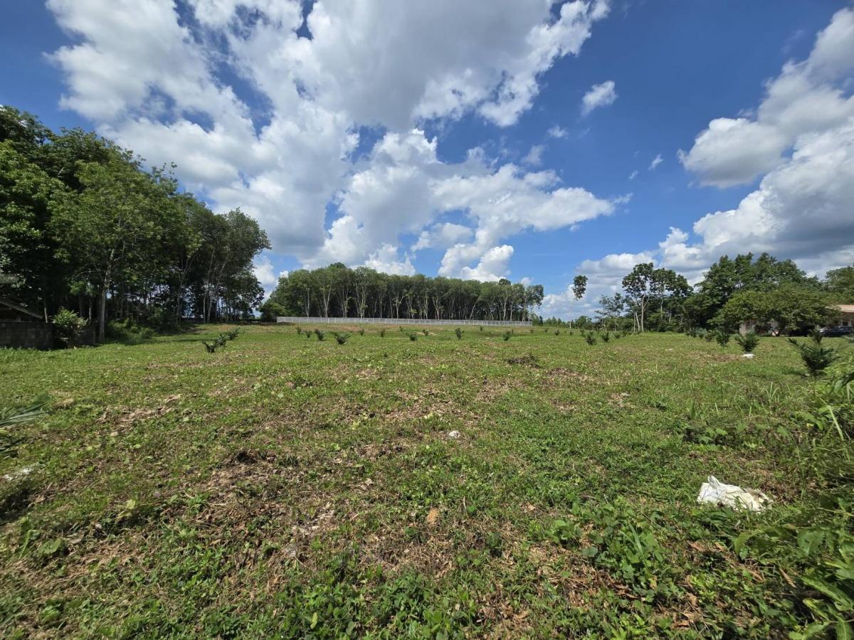 ขายที่ดินนครศรีธรรมราช : ขาย ที่ดิน ติดถนนใหญ่ ถนน ทุ่งสง สุราษฏร์ ขนาดที่ดิน ราวๆ เเกือบ 9 ไร่ หน้ากว้าง ประมาณ 85 ตรม. อยู่ กม. 14  มาจาก ห้างโลตัส ทุ่งสง อยู่ฝังตรงข้าม  (อยู่ เยื้องๆ ตรงข้าม วัดควนสุทธาราม   เยื้อง โรงแรม นุชนารถ. ที่ดิน ทรงเหลียม สวย เพื่งโค่นต้นไม้ไป