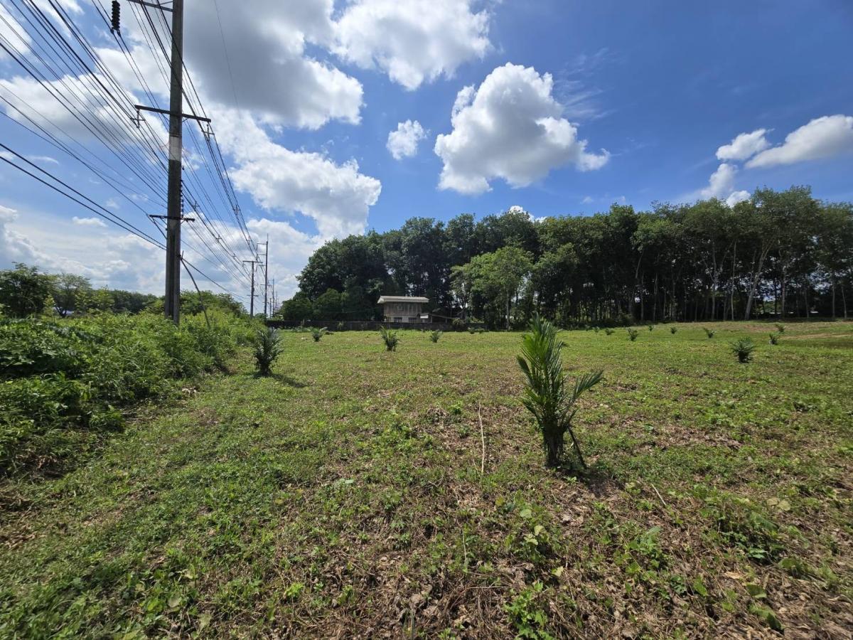 ขายที่ดินนครศรีธรรมราช : ขาย ที่ดิน ติดถนนใหญ่ ถนน ทุ่งสง สุราษฏร์ ขนาดที่ดิน ราวๆ เเกือบ 9 ไร่ หน้ากว้าง ประมาณ 85 ตรม. อยู่ กม. 14  มาจาก ห้างโลตัส ทุ่งสง อยู่ฝังตรงข้าม  (อยู่ เยื้องๆ ตรงข้าม วัดควนสุทธาราม   เยื้อง โรงแรม นุชนารถ. ที่ดิน ทรงเหลียม สวย เพื่งโค่นต้นไม้ไป