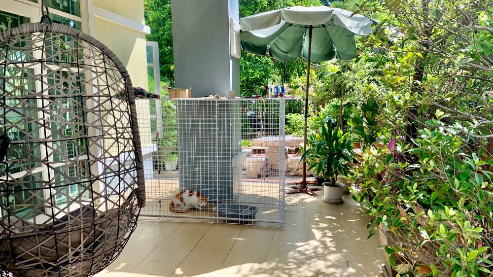 ขายบ้านปทุมธานี รังสิต ธรรมศาสตร์ : ขายบ้านเดี่ยว 2 ชั้น หลังมุมพร้อมบ้านน๊อคดาวน์ เสนา แกรนด์โฮม ขนาด 75 ตารางวา ต.บางพูน อ.เมืองปทุมธานี จ.ปทุมธานี