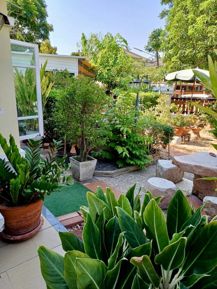 ขายบ้านปทุมธานี รังสิต ธรรมศาสตร์ : ขายบ้านเดี่ยว 2 ชั้น หลังมุมพร้อมบ้านน๊อคดาวน์ เสนา แกรนด์โฮม ขนาด 75 ตารางวา ต.บางพูน อ.เมืองปทุมธานี จ.ปทุมธานี