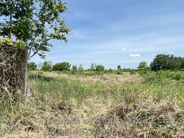 For SaleLandPathum Thani,Rangsit, Thammasat : Land for sale, allocated plot, Khlong Hok Subdistrict, Khlong Luang District, Pathum Thani Province.