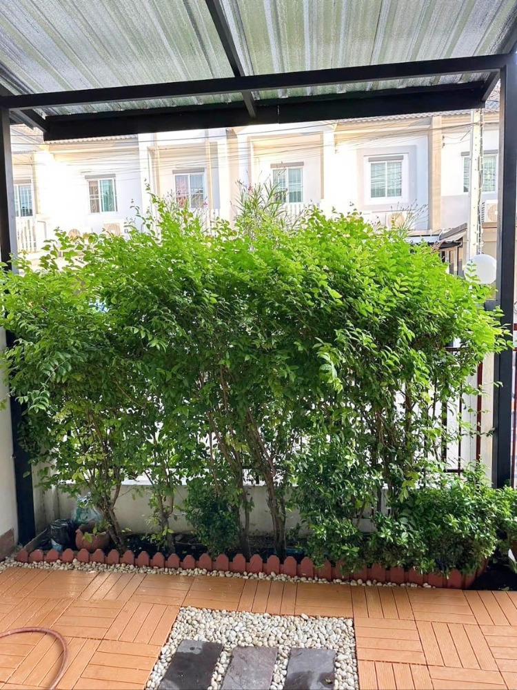 For SaleHouseVipawadee, Don Mueang, Lak Si : Townhome for sale, Lio Nov, Don Mueang-Chaengwattana, 2 floors, 17.1 sqw., 3 bedrooms, 2 bathrooms, with extension..