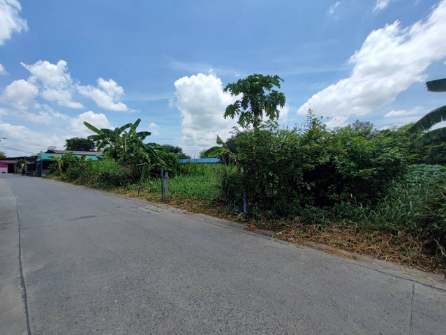 ขายที่ดินบางแค เพชรเกษม : ขายที่ดินกรุงเทพ หนองแขม ซอยสวัสดิการ 1 เนื้อที่ 285 ตรว สวยสี่เหลี่ยมผืนผ้าหน้ากว้าง
