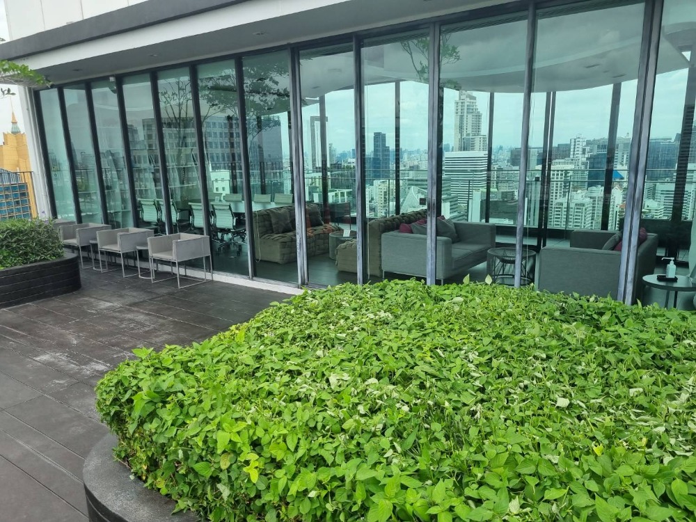 ให้เช่าคอนโดสุขุมวิท อโศก ทองหล่อ : ปล่อยเช่า Edge By Sansiri (Sukhumvit 23) เอดจ์ บาย แสนสิริ สุขุมวิท 23 ใกล้ BTS อโศกและ MRT สุขุมวิท ในระยะเดินถึงห้องสวย เฟอร์ครบ ชั้น 11 วิวเมือง