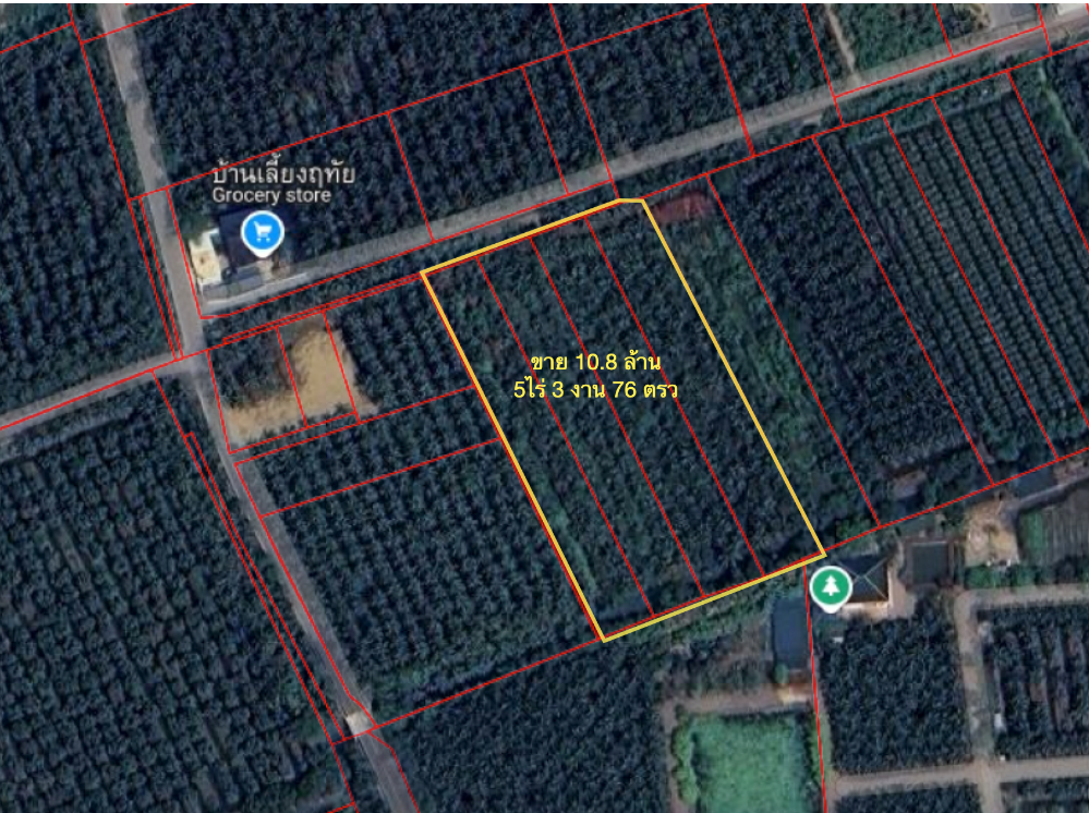ขายที่ดินมหาชัย สมุทรสาคร : ขายที่ดิน สวนลำไย บ้านแพ้ว 5- 3 -76ไร่ 10.8 ล้านบาท (แบ่งขายครึ่งนึงได้)