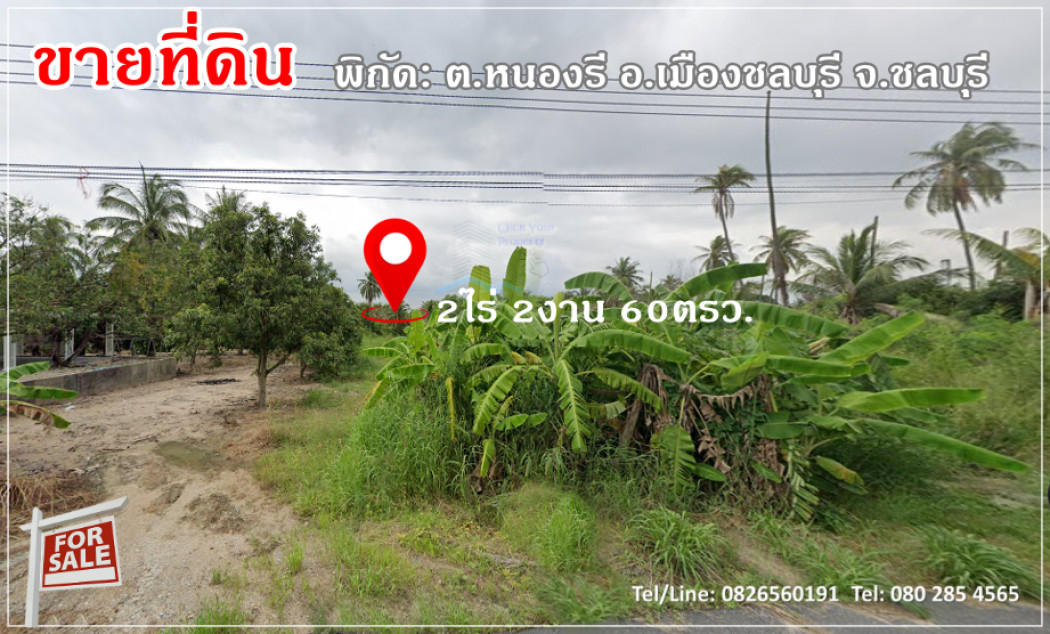 ขายที่ดินพัทยา บางแสน ชลบุรี สัตหีบ : ขาย ที่ดิน แปลงสวย ติดคาเฟ่ 2 ไร่ 2 งาน 60 ตรว หนองรีชลบุรี