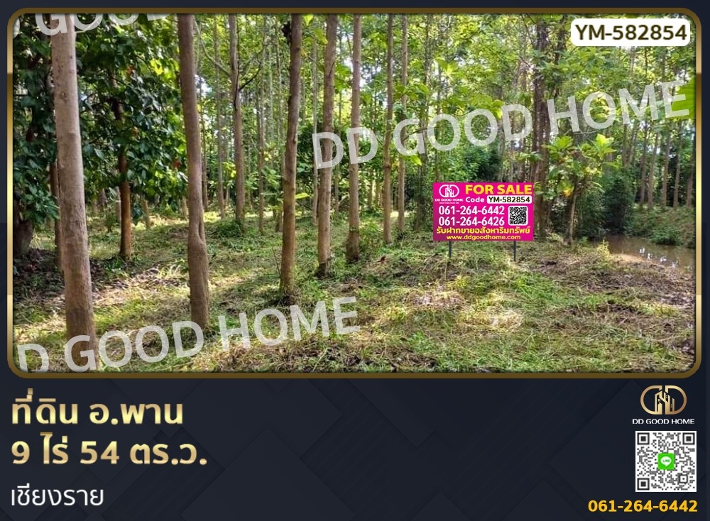 For SaleLandChiang Rai : Land, Phan District, 9 rai 54 sq w, Chiang Rai