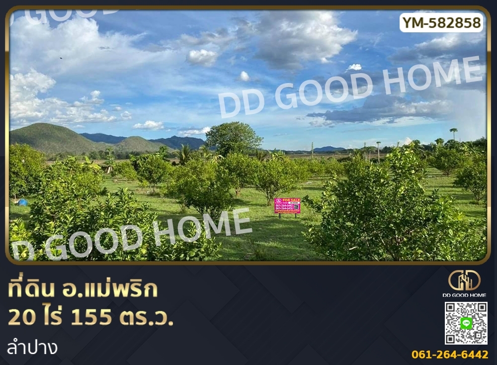 For SaleLandLampang : Land Rai Sam Kham Mae Phrik District, 20 rai 155 sq w, Lampang
