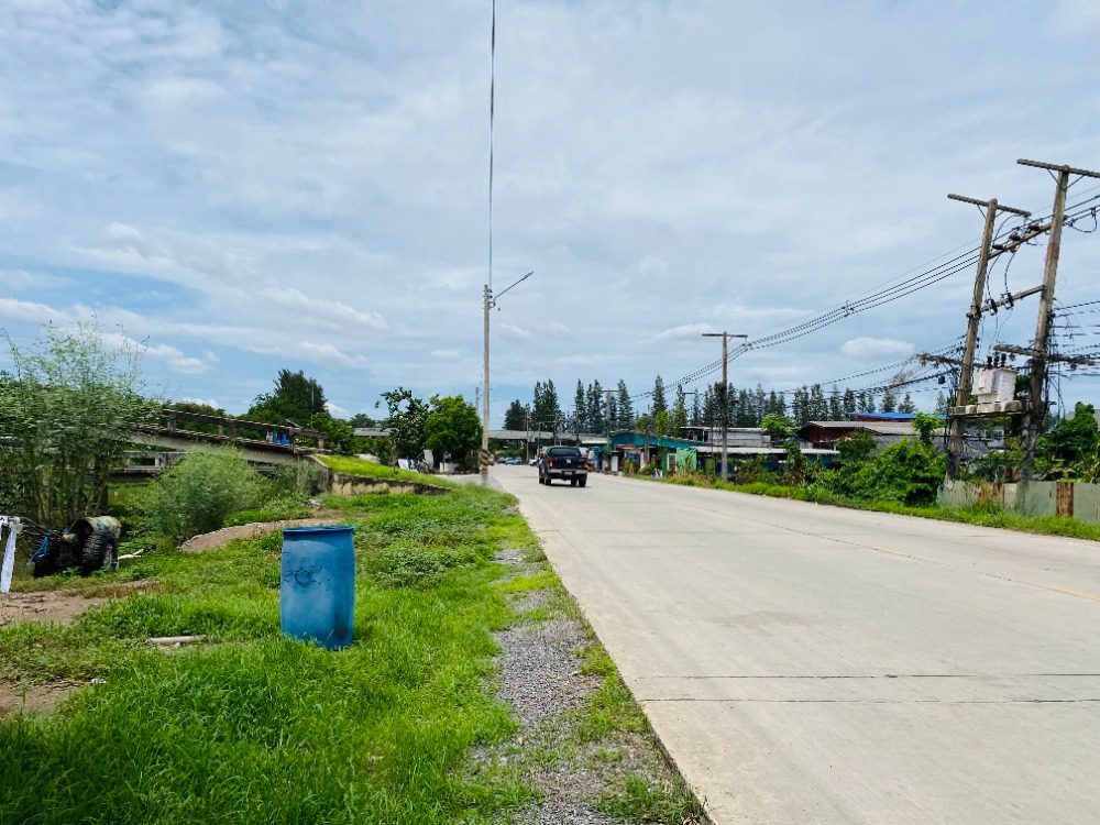 For SaleLandPathum Thani,Rangsit, Thammasat : Land for sale along Khlong 3 Opposite Phra Maha Dhammakaya Chedi
