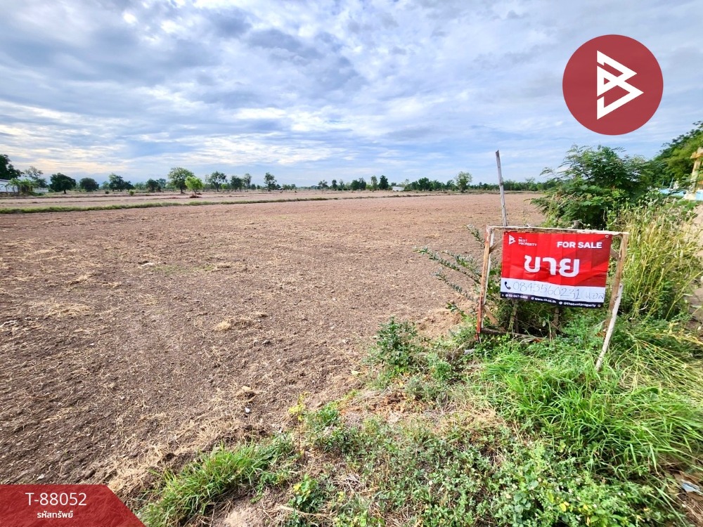 For SaleLandPhetchabun : Land for sale, area 9 rai 3 ngan 93 taangwa, Wichian Buri, Phetchabun