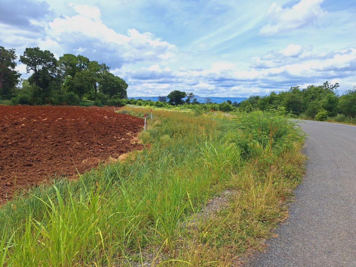 For SaleLandPak Chong KhaoYai : Land for sale in Pak Chong near Pak Chong Highland, beautiful land on the road, suitable for building a vacation home.