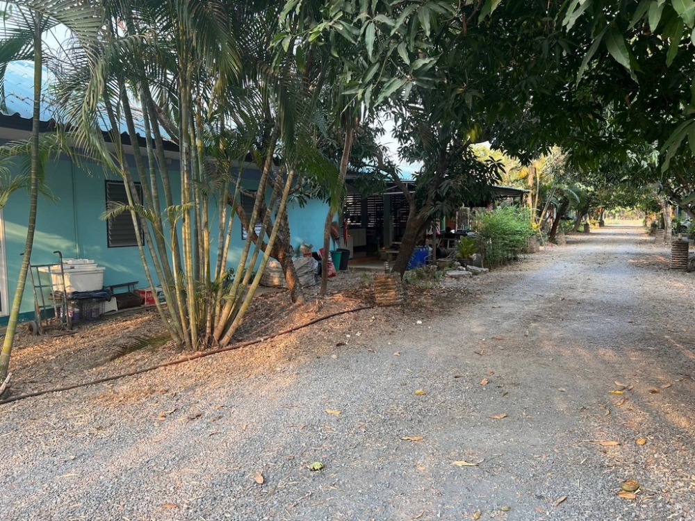 For SaleLandPathum Thani,Rangsit, Thammasat : Land for sale with buildings, 18 rai, Khlong Chet, Bueng Kham Proi, Lam Luk Ka, the best in this area.