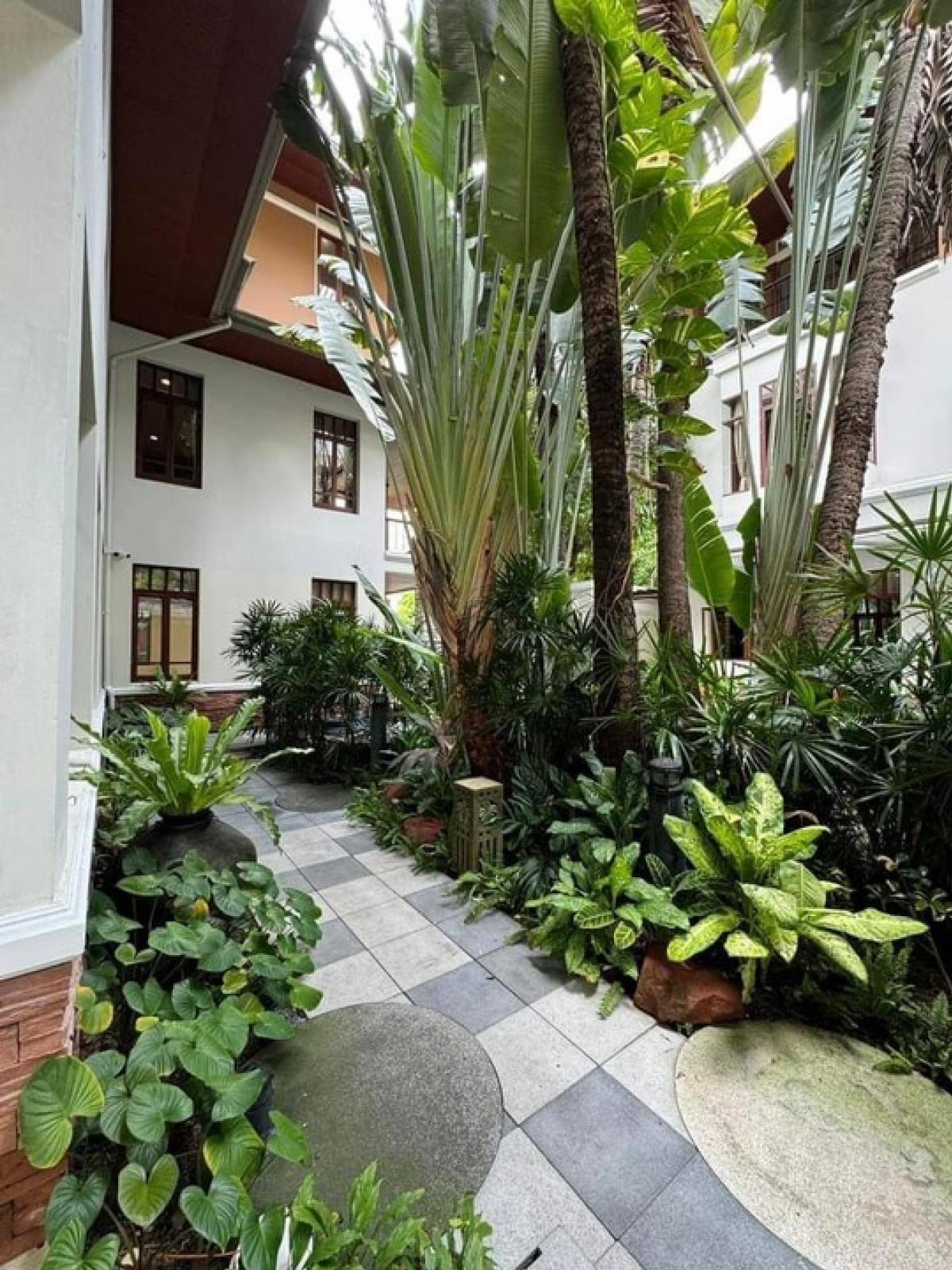 ให้เช่าโฮมออฟฟิศสุขุมวิท อโศก ทองหล่อ : For rent villa home office with private pool. For home office, home clinic, home wellness, home spa, facial treatment, iv-drip, stem cells