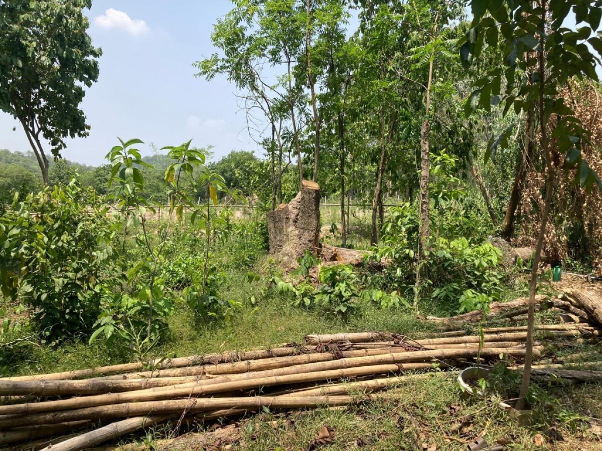 For RentLandSaraburi : ที่ให้เช่า สระบุรี ใกล้น้ำตก