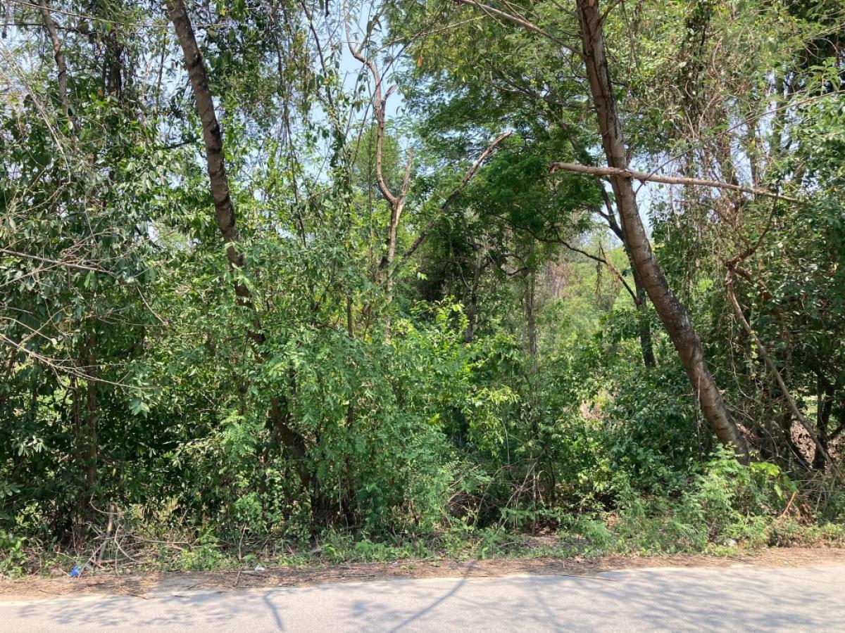 For RentLandSaraburi : ที่ให้เช่า สระบุรี ใกล้น้ำตก