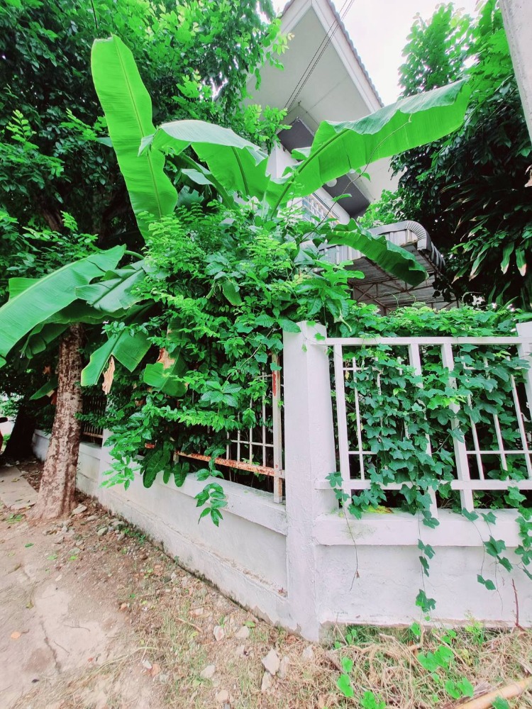 ขายบ้านลาดกระบัง สุวรรณภูมิ : ขายบ้านเดี่ยว ลาดกระบัง ทำเลสวย ทำเลดี บ้านแลนซีโอ คริป Lanceo Crib อ่อนนุช-สุวรรณภูมิ บ้านพร้อมอยู่ พื้นที่ใช้สอย 126 ตรม. 4 ห้องนอน ทำเลดี เดินทางสะดวก ลาดกระบัง, สนามบินสุวรรณภูมิ, สนใจต่อลองได้ 081-2069708