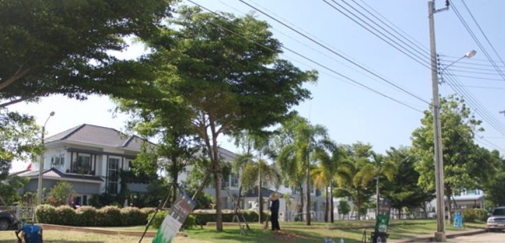 ขายบ้านลาดกระบัง สุวรรณภูมิ : ขายบ้านเดี่ยว ลาดกระบัง ทำเลสวย ทำเลดี บ้านแลนซีโอ คริป Lanceo Crib อ่อนนุช-สุวรรณภูมิ บ้านพร้อมอยู่ พื้นที่ใช้สอย 126 ตรม. 4 ห้องนอน ทำเลดี เดินทางสะดวก ลาดกระบัง, สนามบินสุวรรณภูมิ, สนใจต่อลองได้ 081-2069708