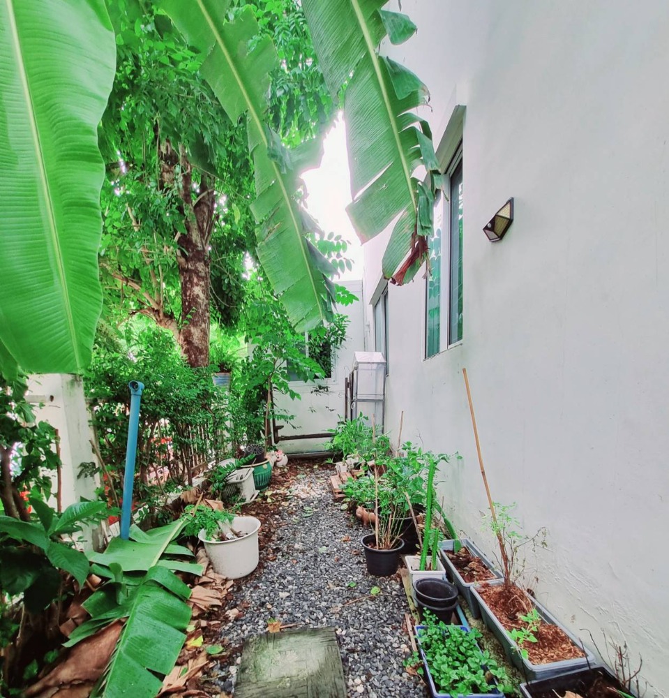 ขายบ้านลาดกระบัง สุวรรณภูมิ : ขายบ้านเดี่ยว ลาดกระบัง ทำเลสวย ทำเลดี บ้านแลนซีโอ คริป Lanceo Crib อ่อนนุช-สุวรรณภูมิ บ้านพร้อมอยู่ พื้นที่ใช้สอย 126 ตรม. 4 ห้องนอน ทำเลดี เดินทางสะดวก ลาดกระบัง, สนามบินสุวรรณภูมิ, สนใจต่อลองได้ 081-2069708