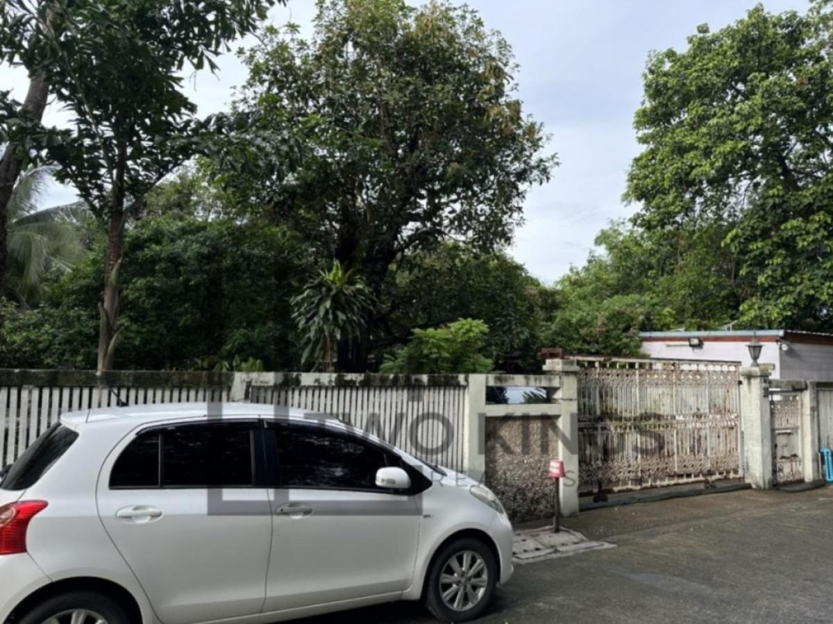 ขายที่ดินโชคชัย4 ลาดพร้าว71 : 🏡 ขายที่ดิน 256 ตรว. ลาดพร้าว 64 เดินทางสะดวก ร่มรื่น