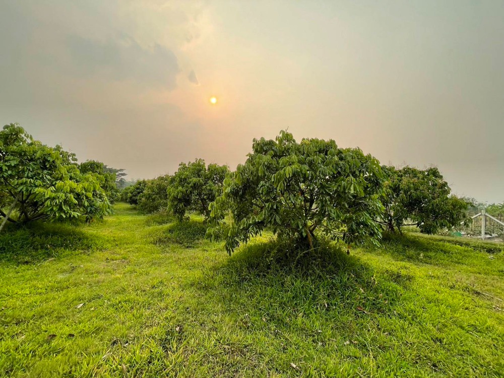For SaleLandChiang Mai : Land for sale, 6 rai, Mae Taeng Subdistrict, Mae Taeng District, Chiang Mai Province, price 4 million baht (agricultural garden)