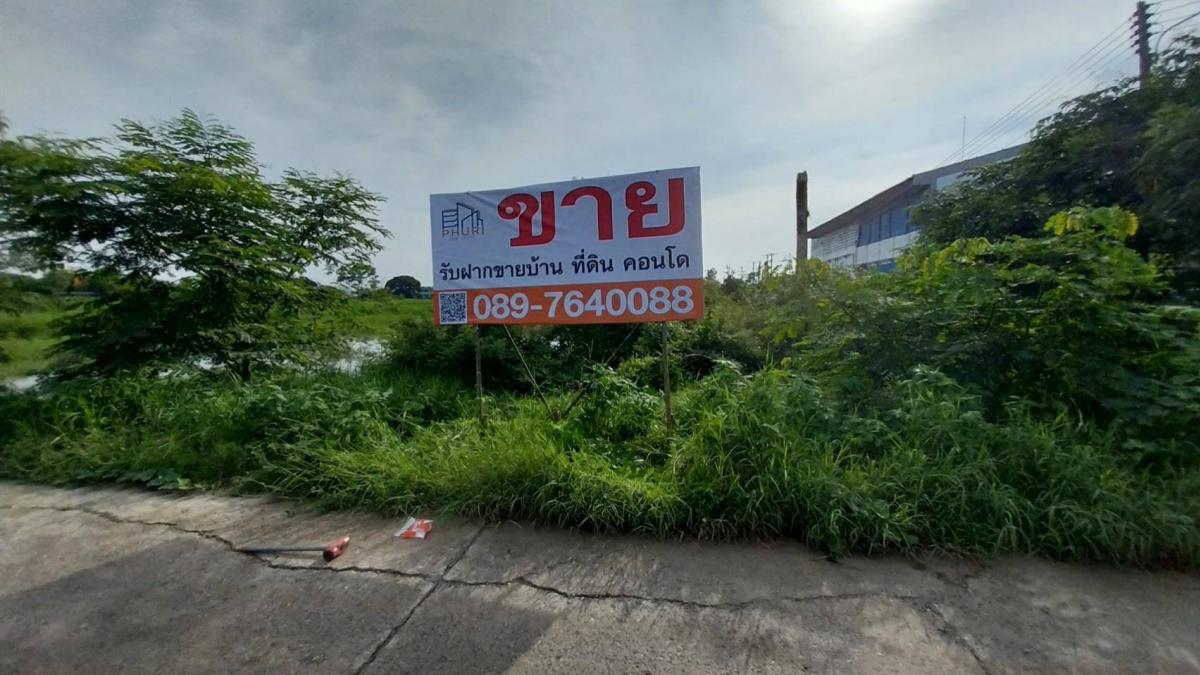 ขายที่ดินปทุมธานี รังสิต ธรรมศาสตร์ : ที่ดิน 2 ไร่ ราคาถูกสุดในหนองเสือ