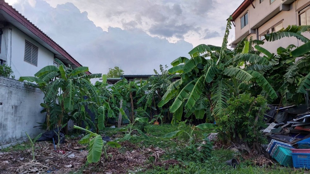 For SaleLandRama9, Petchburi, RCA : S-LBCI101 Land for sale, Soi Seri 9, Rama 9, size 67 sq m, 10 million, 064-959-8900