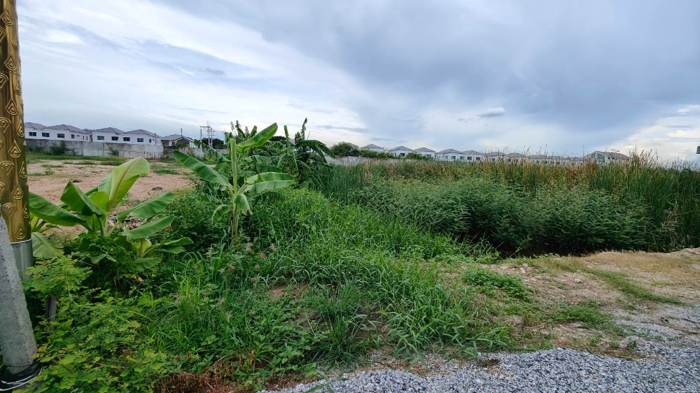 For SaleLandSamut Prakan,Samrong : Land for sale, 3 rai 316 square wah, Soi King Kaew 11/1, Racha Thewa, Bang Phli, Samut Prakan.