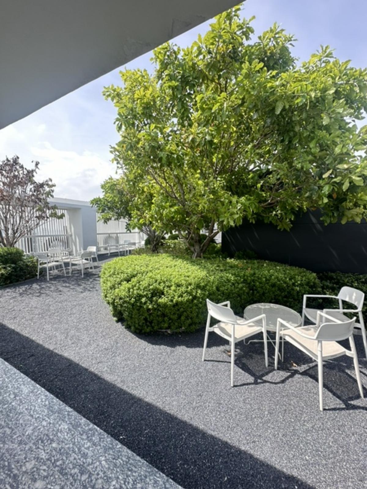 ขายคอนโดอารีย์ อนุสาวรีย์ : Noble around ari ❗️❗️ตึกY ห้องใหม่กริ๊ป ราคาดีๆ