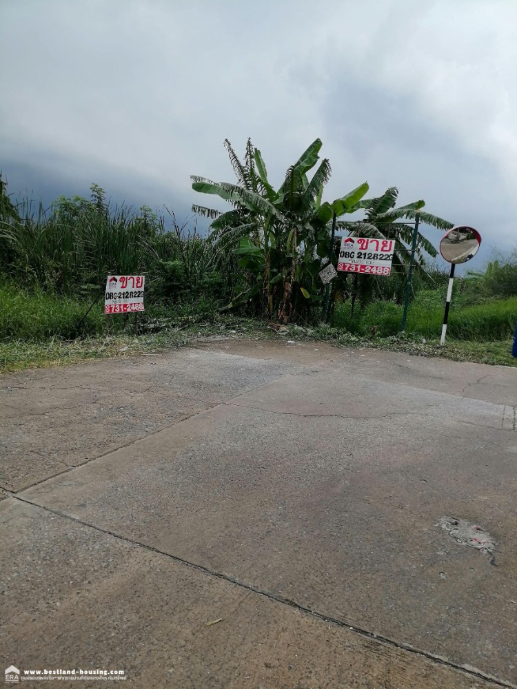 For SaleLandPathum Thani,Rangsit, Thammasat : Empty land for sale, 455.8 sq m., Nimitmai Road. 300 meters from Nimitmai main road.